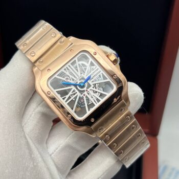 Cartier Santos de Cartier (5799.4)