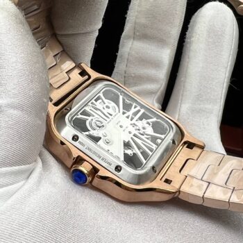 Cartier Santos de Cartier (5799.4)